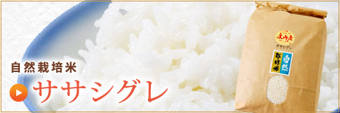 ササシグレ