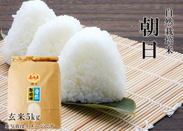 朝日：玄米》5kg 80サイズ | 作ぜん農園